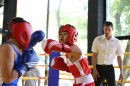 В Кабардинке состоялся турнир по боксу среди начинающих спортсменов. Более 100 юных боксеров боролись за призы молодых депутатов Геленджика