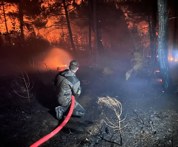 В Геленджике сохраняется высокая пожароопасность 