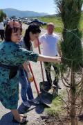 Более 150 деревьев высадили в Кабардинке