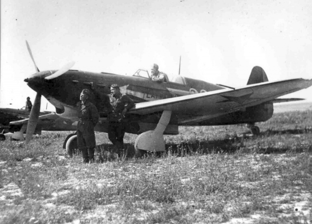 В Геленджике нашли останки боевого самолета времен войны