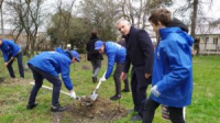 18 марта 2020 года Международная акция "Сад памяти", посвященная 75-летию Победы, прошла на территории  МАОУ СОШ № 17, итогом которой стала посадка 75 деревьев