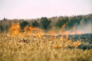 Причина ландшафтных пожаров на территории Кубани - человеческий фактор!