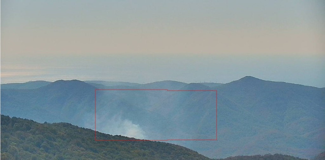 Лесной пожар в районе села Возрождение ликвидирован