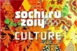 С 20 декабря в городском историко-краеведческом музее пройдет выставка, посвященная XXII зимним Олимпийским играм 