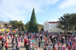 16 декабря в Геленджике состоится торжественное открытие детской городской елки