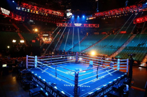 В Геленджике отметят Международный День бокса
