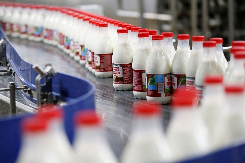 Кубань - лидер молочного производства России 