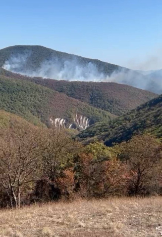 Продолжается тушение пожара в Геленджикском лесничестве