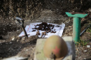 В Геленджике во время раскопок были обнаружены останки бойцов Великой Отечественной войны.